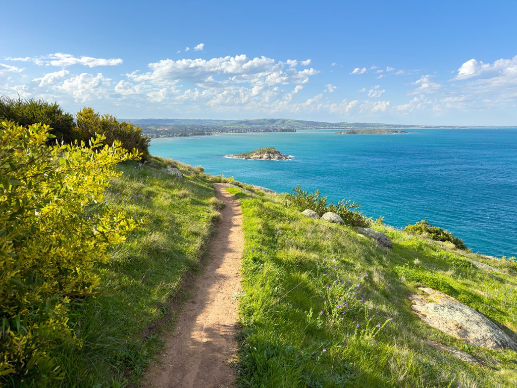 The Bluff Trail - Victor Harbor